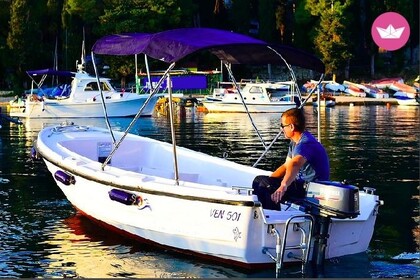 Charter Boat without licence  Pasara Ven 501 Cavtat