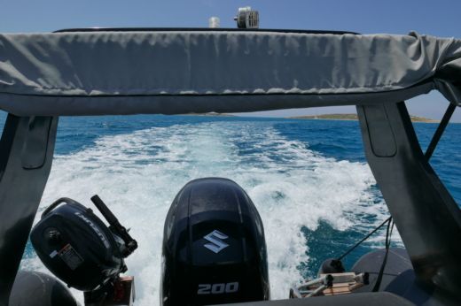 Парикия RIB Mostro 621 alt tag text