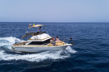 Hire Motorboat Etap Bertram 28 Flybridge Playa San Juan