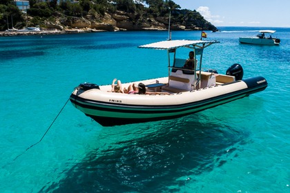 Charter RIB Vanguard DR900-Family Palma de Mallorca