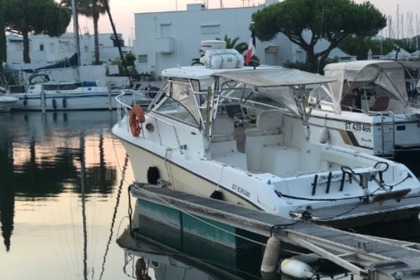 Rental Motorboat Seaswirl Striper 2901 WA Le Grau-du-Roi
