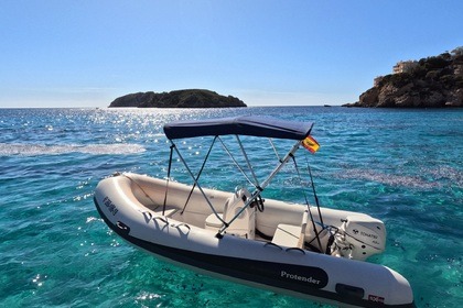 Verhuur RIB Protender 440 Santa Ponça