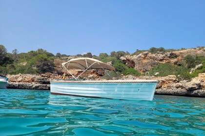 Hire Boat without licence  silver 495 Portocolom