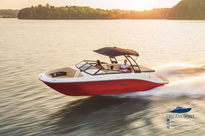 Czarter Łódź motorowa Sea Ray 230C SPXE Mikołajki