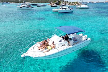 Noleggio Barca a motore white shark 268 Cc Palau