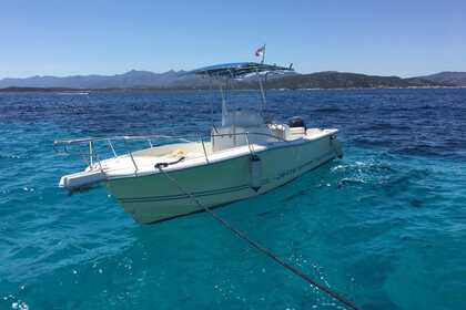 Charter Motorboat White Shark Barca a motore Portisco