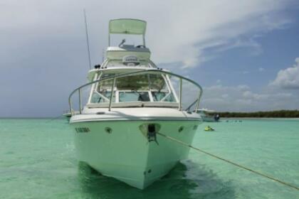 Hire Motorboat EVERGLADES 35 La Romana