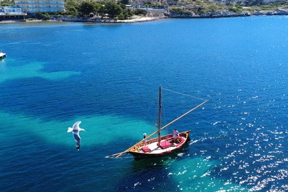 Noleggio Barca a motore Cantieri Gozzo vela Latina Cagliari
