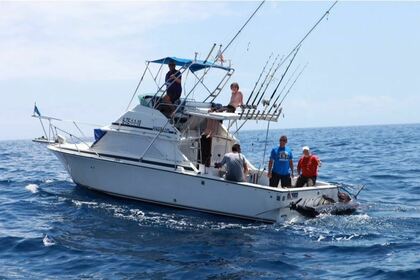 Verhuur Motorboot Bertram 28 Santa Cruz de Tenerife
