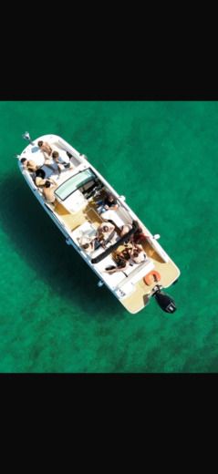 Motorboat Sea Ray 250 SDX boat plan