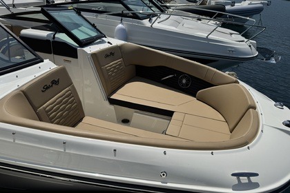 Verhuur Motorboot Sea Ray 230 Spx Cavalaire-sur-Mer