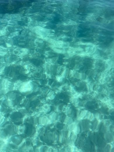 Grosseto-Prugna Motorboat Sunbird Spl 150 alt tag text