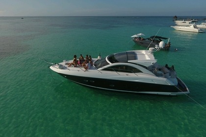 Alquiler Yate a motor Sunseeker 53 Portofino Cancún