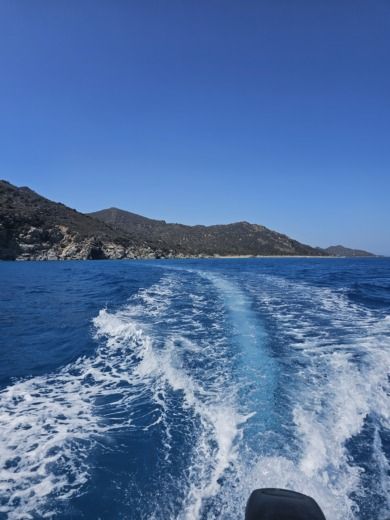 Crabonaxa Without license Bwa 550 alt tag text