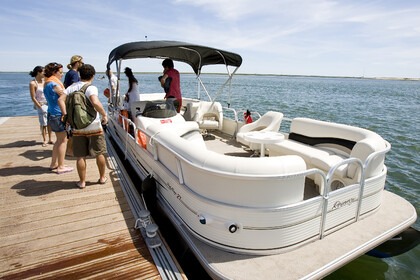 Hire Motorboat Sun Tracker Party Barge 27 Olhão