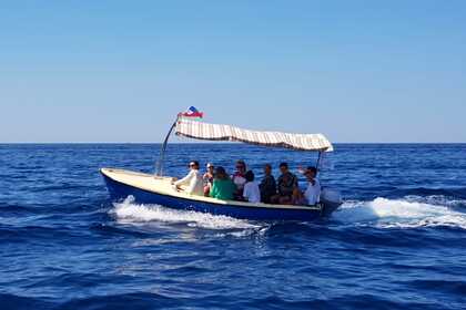 Charter Motorboat Elan Pasara Mirišta