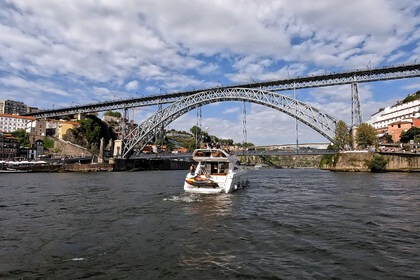 Aluguel Lancha Princess princess Flybridge 45 Porto