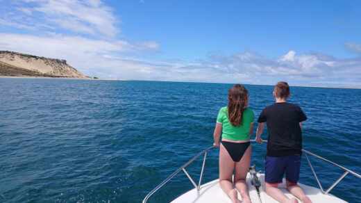 Леж—Кап-Ферре Motorboat Dubigeont Clarige alt tag text