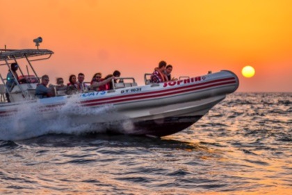 Rental RIB Asis RIB Dubai