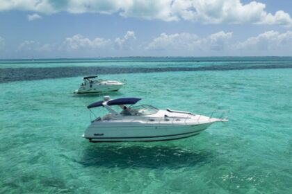 Charter Motorboat wellcraft martinique Cancún