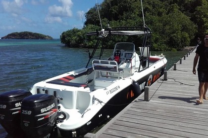 Charter Motorboat BAJA sportfish Le François