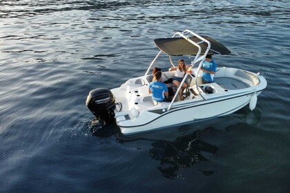 Hire Motorboat Bayliner M17 La Herradura