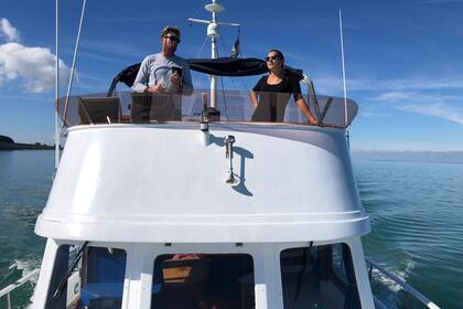 Charter Motorboat MARINE CORPORATION OCEAN 37 Argelès-sur-Mer