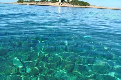 Noleggio Barca a motore ippolito cianciolella Castellabate