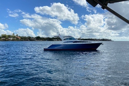 Miete Motorboot Chris Craft 43 La Romana
