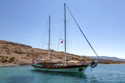 Rental Gulet CUSTOM 2003 Bodrum
