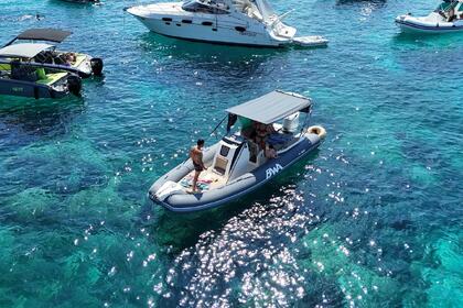 Чартер RIB (надувная моторная лодка) Bwa BWA 24 GTO SPORT Ольбия