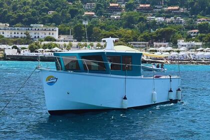 Rental Motorboat TN 33ft Palermo