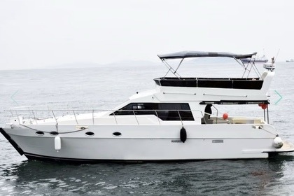 Чартер Моторная яхта Private Private Стамбул