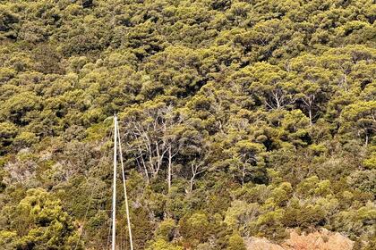 Hyra båt Segelbåt Beneteau First 305 La Seyne-sur-Mer