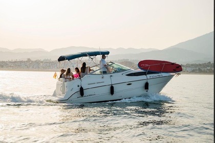 Hire Motorboat Brunswick boat group 245 Sunbridge Marbella