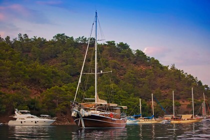 Rental Gulet Custom Made Göcek