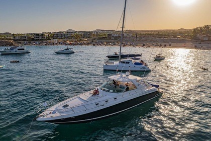 Rental Motor yacht Sea Ray Sundancer Cabo San Lucas