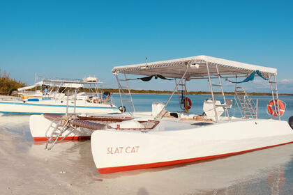 Location Catamaran Custom Motor Catamaran Providenciales