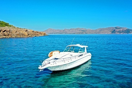 Verhuur Motorboot Sea Ray 400 Sun Sport Port de Pollença