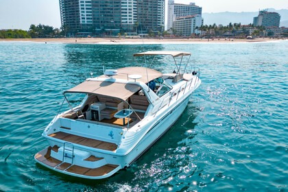 Verhuur Motorboot Sea Ray 400 Puerto Vallarta