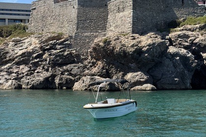 Charter Boat without licence  Gentle Tender 555 Sète
