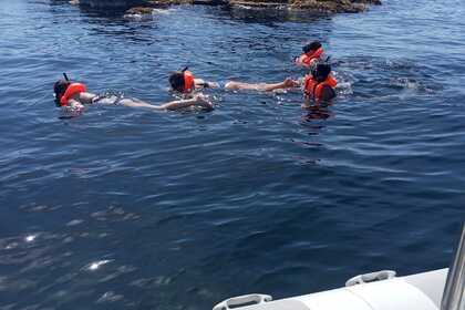 Alquiler Neumática PORTUGUESA SEA RIBS 620 OPEN Alicante