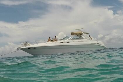 Miete Motorboot SeaRay 41 Cancún