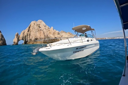 Rental Motorboat Infinity 29 Cabo San Lucas