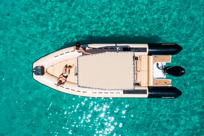 Charter RIB Vanguard DR900-Family Palma de Mallorca