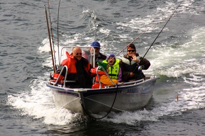 Miete Motorboot Linder Arkip Lensvik