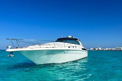 Hire Motorboat Sea Ray Sundancer Cancún