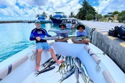 Rental Motorboat Black pearl Pearl 24 Baa Atoll