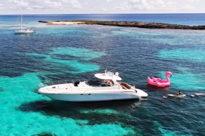 Rental Motor yacht Sea Ray 550 Sundancer Fort Lauderdale