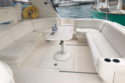 Rental Motorboat Sea  Ray Sundancer 46ft. Kuşadası